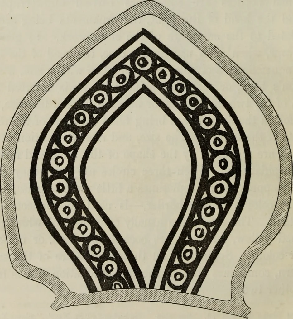 An illustration from An inquiry into the difference of style observable in ancient glass paintings : especially in England: with hints on glass painting, 1847, leaf 155