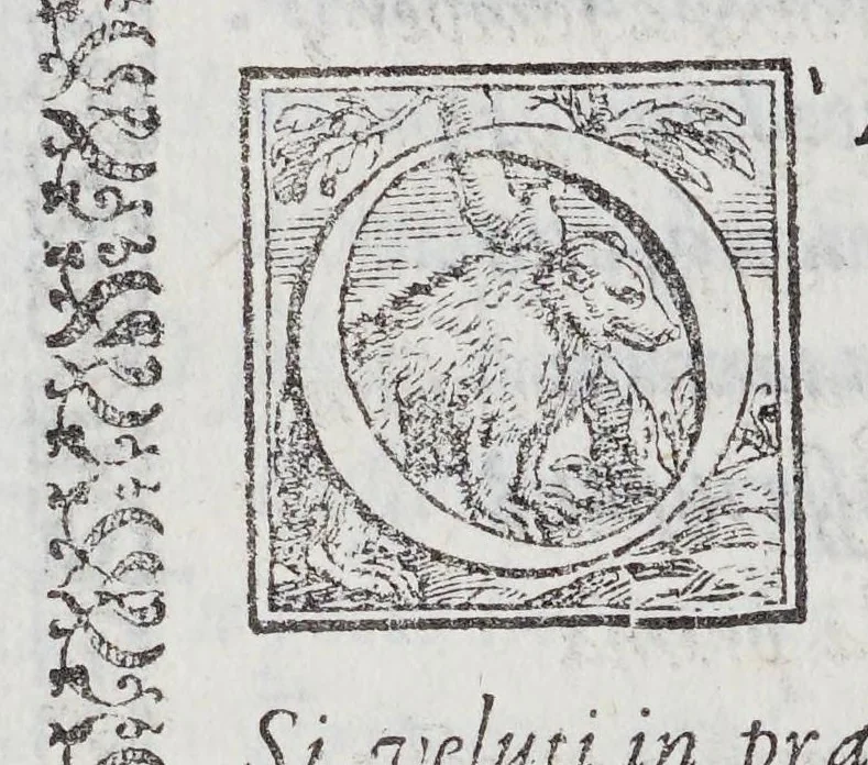 An illustration from In Rev. admodum D. Marcellum Tolosam Congreg. clericorum regularium theologum, & concionatorem praestantissimum diuersorum scriptorum Veronensium elogia. : Ad illustriss. & Reuerendiss. D. D. Augustinum Valerium S. R.E. Card. Ampliss. & Veronae episcopum., 1591, leaf 28