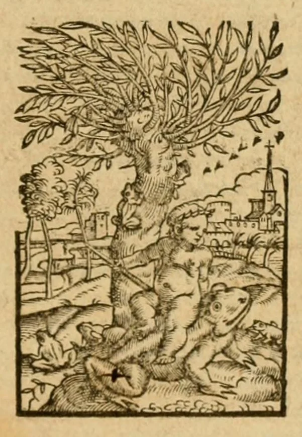 An illustration from In sacrosanctum Evangelium Domini nostri Iesu Christi secundum Marcu commentariorum lib. VI, 1554, leaf 113