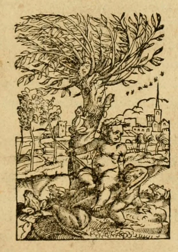 An illustration from In sacrosanctum Evangelium Domini nostri Iesu Christi secundum Marcu commentariorum lib. VI, 1554, leaf 5