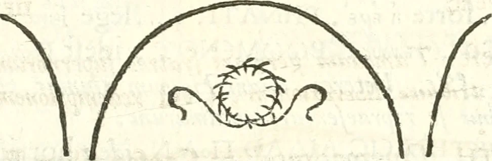 An illustration from Inscriptiones antiqvae in Etrvriae vrbibvs exstantes, 1727, leaf 250