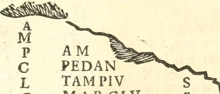 An illustration from Inscriptiones antiqvae in Etrvriae vrbibvs exstantes, 1727, leaf 264
