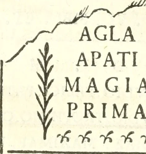 An illustration from Inscriptiones antiqvae in Etrvriae vrbibvs exstantes, 1727, leaf 294