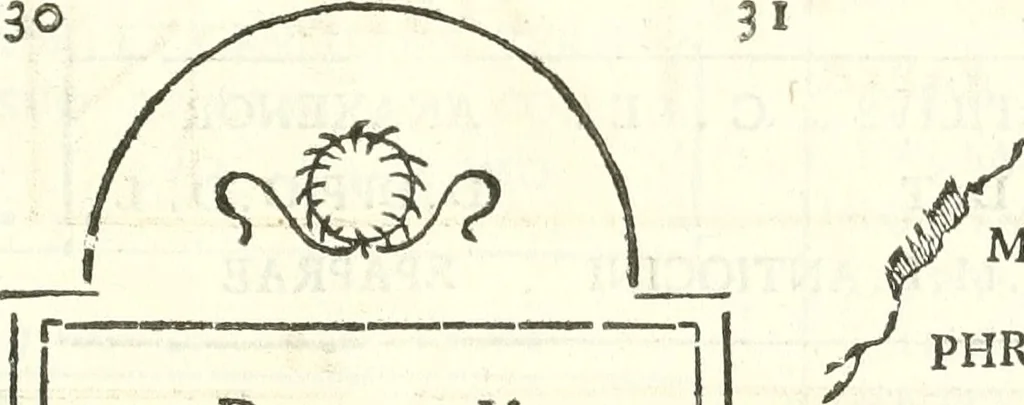 An illustration from Inscriptiones antiqvae in Etrvriae vrbibvs exstantes, 1727, leaf 334