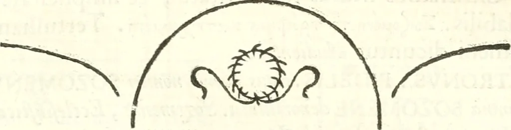 An illustration from Inscriptiones antiqvae in Etrvriae vrbibvs exstantes, 1727, leaf 420