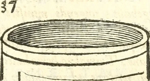 An illustration from Inscriptiones antiqvae in Etrvriae vrbibvs exstantes, 1727, leaf 482