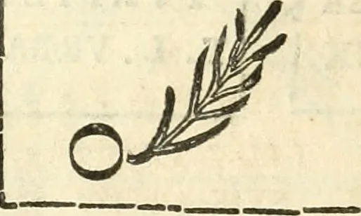 An illustration from Inscriptiones antiqvae in Etrvriae vrbibvs exstantes, 1727, leaf 485