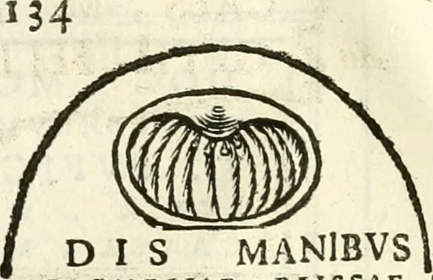 An illustration from Inscriptiones antiqvae in Etrvriae vrbibvs exstantes, 1727, leaf 513