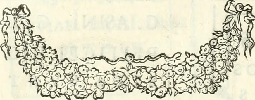 An illustration from Inscriptiones antiqvae in Etrvriae vrbibvs exstantes, 1727, leaf 531