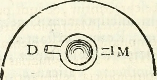 An illustration from Inscriptiones antiqvae in Etrvriae vrbibvs exstantes, 1727, leaf 139