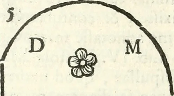 An illustration from Inscriptiones antiqvae in Etrvriae vrbibvs exstantes, 1727, leaf 141