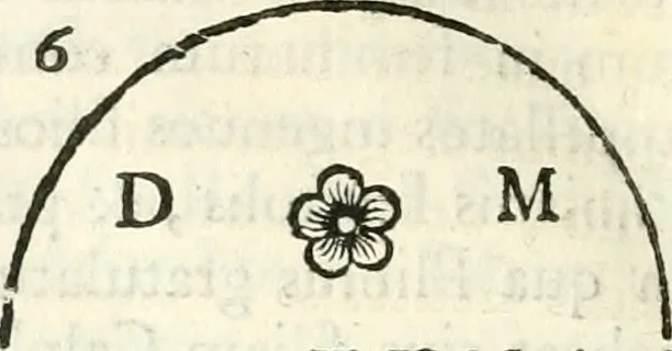 An illustration from Inscriptiones antiqvae in Etrvriae vrbibvs exstantes, 1727, leaf 141