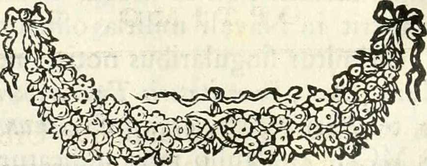 An illustration from Inscriptiones antiqvae in Etrvriae vrbibvs exstantes, 1727, leaf 211
