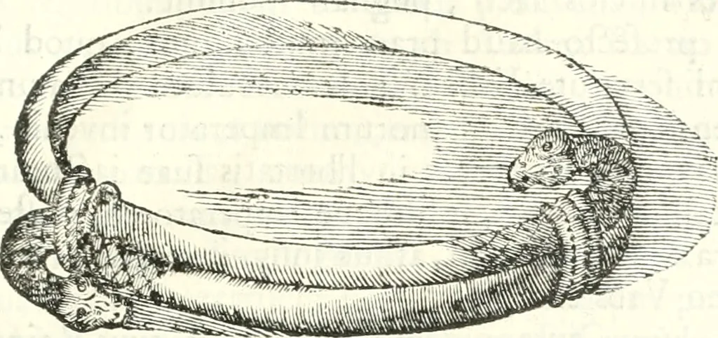 An illustration from Inscriptiones antiqvae in Etrvriae vrbibvs exstantes, 1727, leaf 396