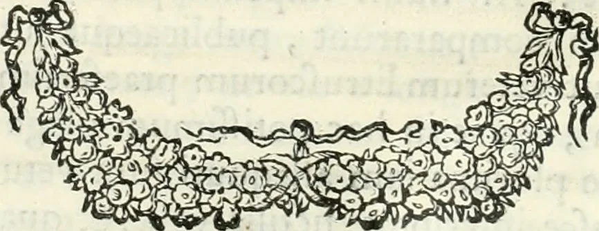 An illustration from Inscriptiones antiqvae in Etrvriae vrbibvs exstantes, 1727, leaf 399