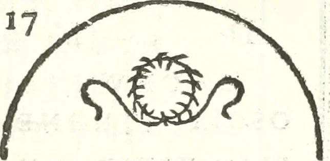 An illustration from Inscriptiones antiqvae in Etrvriae vrbibvs exstantes, 1727, leaf 408