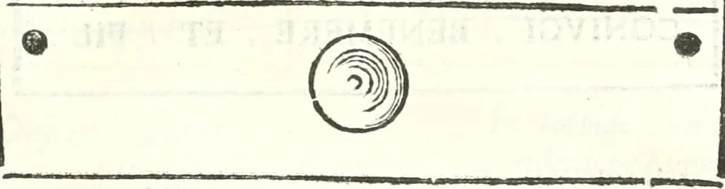 An illustration from Inscriptiones antiqvae in Etrvriae vrbibvs exstantes, 1727, leaf 412