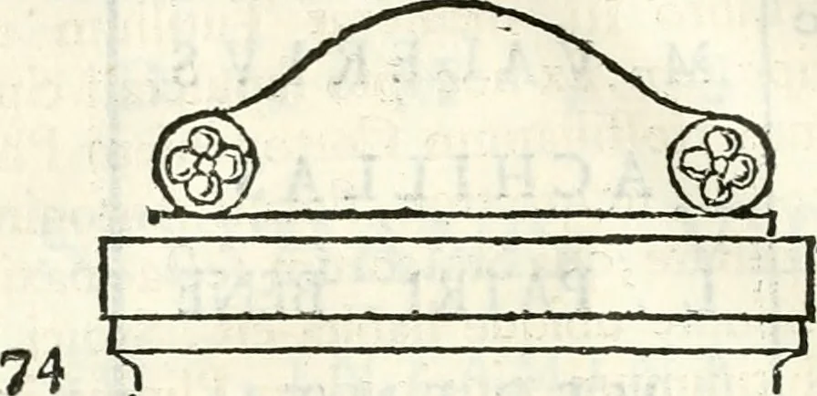 An illustration from Inscriptiones antiqvae in Etrvriae vrbibvs exstantes, 1727, leaf 419