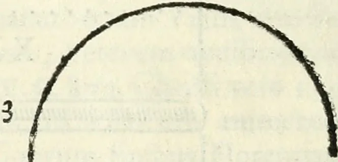 An illustration from Inscriptiones antiqvae in Etrvriae vrbibvs exstantes, 1727, leaf 451