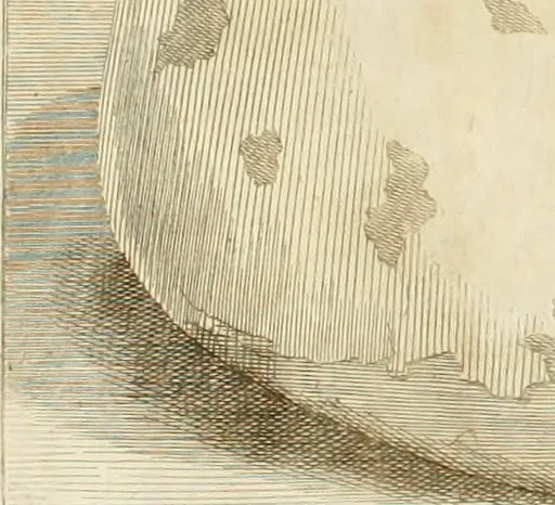 An illustration from Inscriptiones antiqvae in Etrvriae vrbibvs exstantes, 1727, leaf 489