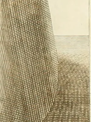 An illustration from Inscriptiones antiqvae in Etrvriae vrbibvs exstantes, 1727, leaf 489