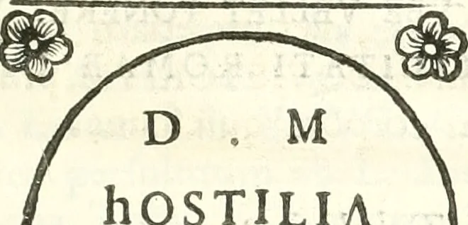 An illustration from Inscriptiones antiqvae in Etrvriae vrbibvs exstantes, 1727, leaf 68