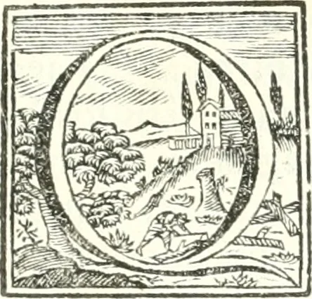 An illustration from Inscriptiones antiqvae in Etrvriae vrbibvs exstantes, 1727, leaf 346