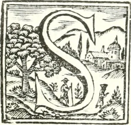 An illustration from Inscriptiones antiqvae in Etrvriae vrbibvs exstantes, 1727, leaf 472