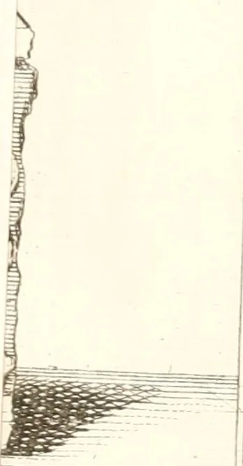 An illustration from Inscriptiones antiqvae in Etrvriae vrbibvs exstantes, 1727, leaf 672