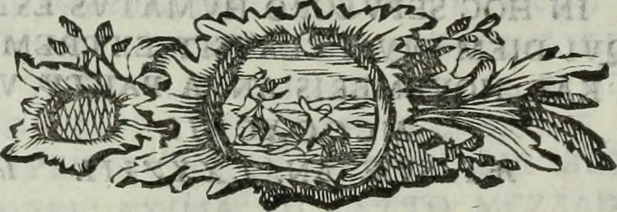 An illustration from Inscriptiones cremonenses universae. inscriptiones urbis, 1796, leaf 115