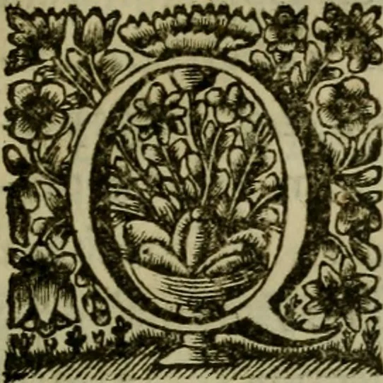 An illustration from Inscriptiones Graecae Palmyrenorum : cum scholiis & annotationibus, 1698, leaf 14