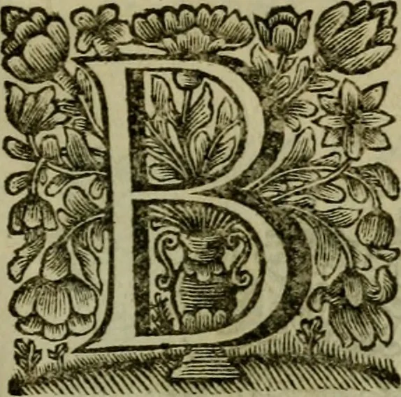 An illustration from Inscriptiones Graecae Palmyrenorum : cum scholiis & annotationibus, 1698, leaf 16