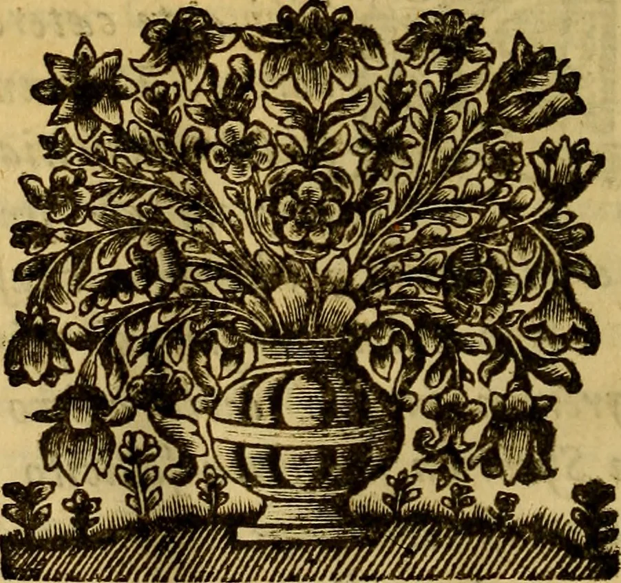 An illustration from Inscriptiones Graecae Palmyrenorum : cum scholiis & annotationibus, 1698, leaf 17
