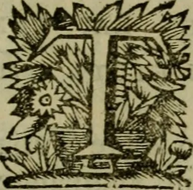 An illustration from Inscriptiones Graecae Palmyrenorum : cum scholiis & annotationibus, 1698, leaf 18