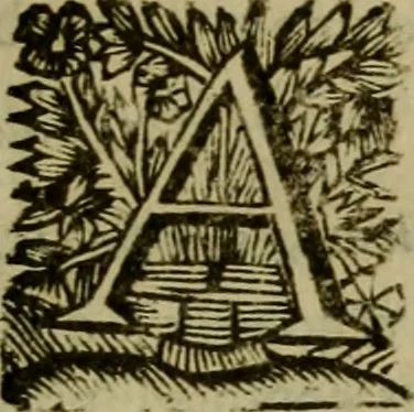 An illustration from Inscriptiones Graecae Palmyrenorum : cum scholiis & annotationibus, 1698, leaf 50