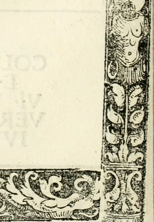An illustration from Inscriptiones sacrosanctae vetvstatis : non illae qvidem romanae, sed totivs fere orbis svmmo stvdio ac maximis impensis Terra Mariqs conquisitæ feliciter incipiunt, 1534, leaf 101