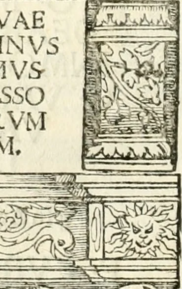 An illustration from Inscriptiones sacrosanctae vetvstatis : non illae qvidem romanae, sed totivs fere orbis svmmo stvdio ac maximis impensis Terra Mariqs conquisitæ feliciter incipiunt, 1534, leaf 135