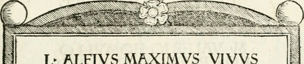 An illustration from Inscriptiones sacrosanctae vetvstatis : non illae qvidem romanae, sed totivs fere orbis svmmo stvdio ac maximis impensis Terra Mariqs conquisitæ feliciter incipiunt, 1534, leaf 174