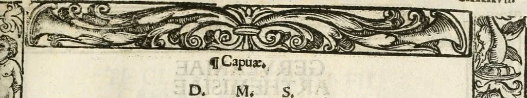 An illustration from Inscriptiones sacrosanctae vetvstatis : non illae qvidem romanae, sed totivs fere orbis svmmo stvdio ac maximis impensis Terra Mariqs conquisitæ feliciter incipiunt, 1534, leaf 178