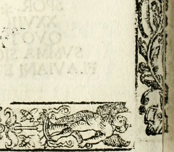 An illustration from Inscriptiones sacrosanctae vetvstatis : non illae qvidem romanae, sed totivs fere orbis svmmo stvdio ac maximis impensis Terra Mariqs conquisitæ feliciter incipiunt, 1534, leaf 181
