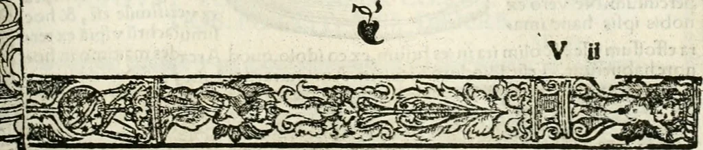 An illustration from Inscriptiones sacrosanctae vetvstatis : non illae qvidem romanae, sed totivs fere orbis svmmo stvdio ac maximis impensis Terra Mariqs conquisitæ feliciter incipiunt, 1534, leaf 196