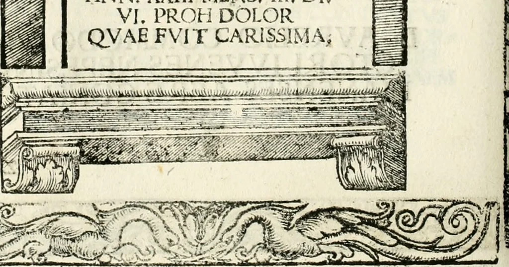 An illustration from Inscriptiones sacrosanctae vetvstatis : non illae qvidem romanae, sed totivs fere orbis svmmo stvdio ac maximis impensis Terra Mariqs conquisitæ feliciter incipiunt, 1534, leaf 219