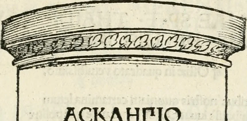An illustration from Inscriptiones sacrosanctae vetvstatis : non illae qvidem romanae, sed totivs fere orbis svmmo stvdio ac maximis impensis Terra Mariqs conquisitæ feliciter incipiunt, 1534, leaf 222