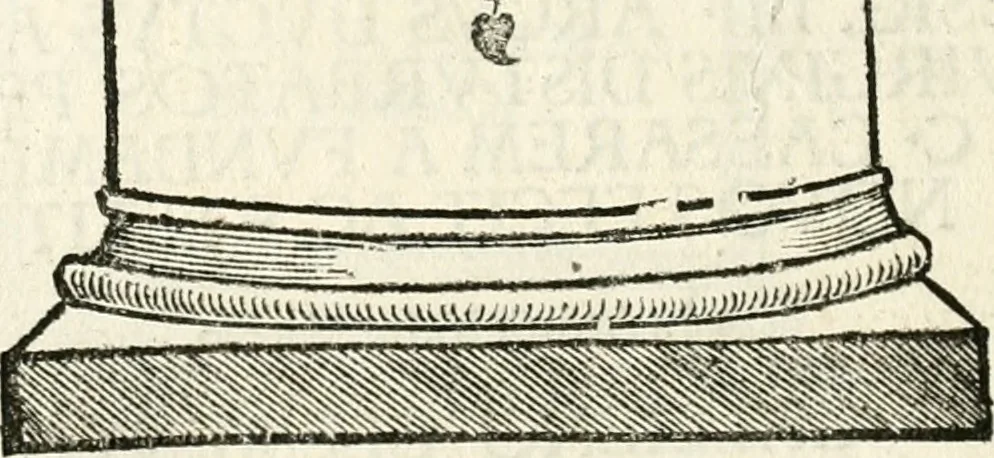 An illustration from Inscriptiones sacrosanctae vetvstatis : non illae qvidem romanae, sed totivs fere orbis svmmo stvdio ac maximis impensis Terra Mariqs conquisitæ feliciter incipiunt, 1534, leaf 237