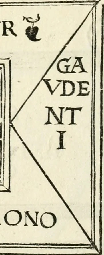An illustration from Inscriptiones sacrosanctae vetvstatis : non illae qvidem romanae, sed totivs fere orbis svmmo stvdio ac maximis impensis Terra Mariqs conquisitæ feliciter incipiunt, 1534, leaf 247