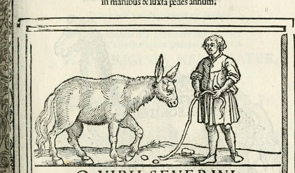 An illustration from Inscriptiones sacrosanctae vetvstatis : non illae qvidem romanae, sed totivs fere orbis svmmo stvdio ac maximis impensis Terra Mariqs conquisitæ feliciter incipiunt, 1534, leaf 250