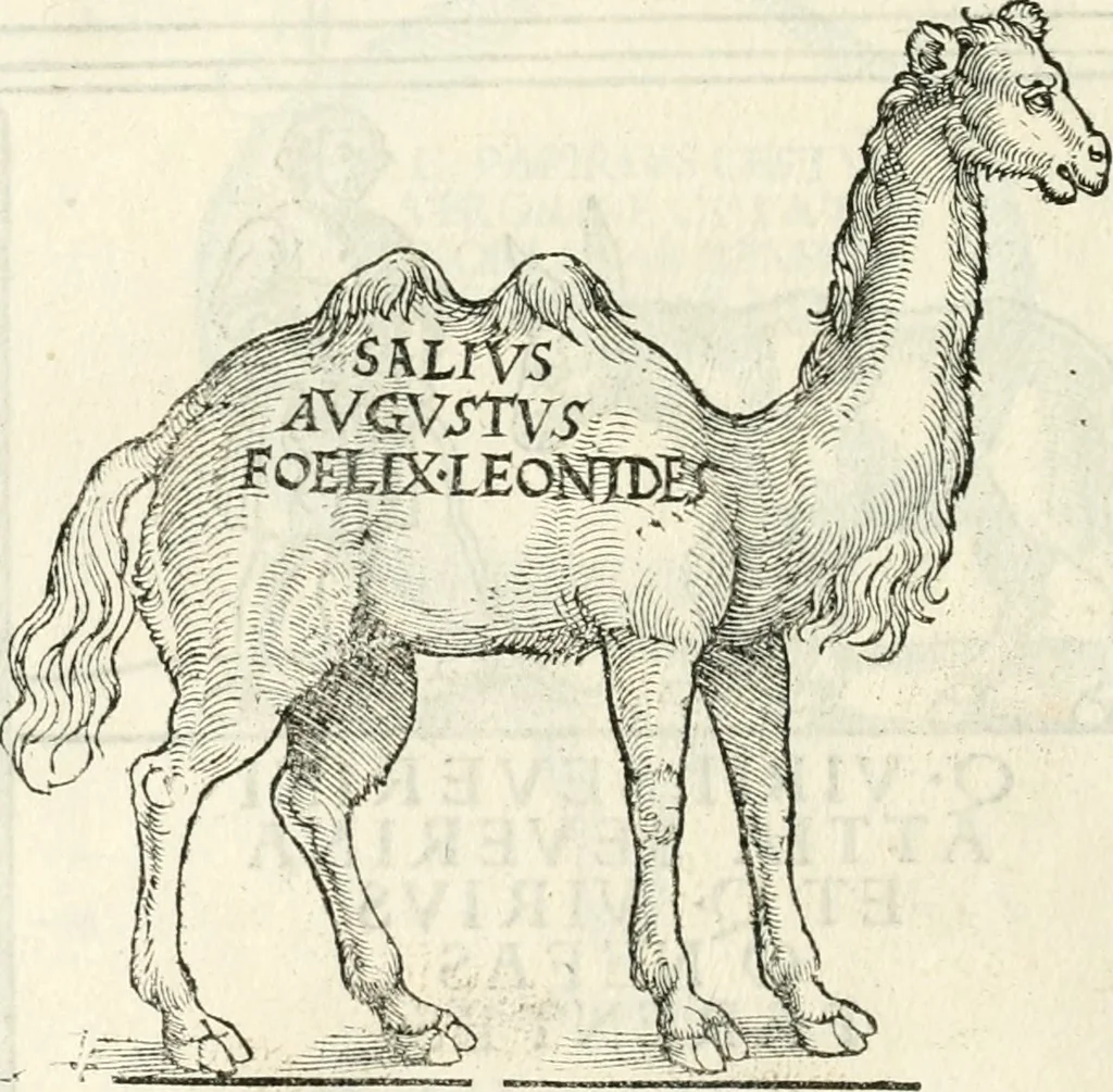 An illustration from Inscriptiones sacrosanctae vetvstatis : non illae qvidem romanae, sed totivs fere orbis svmmo stvdio ac maximis impensis Terra Mariqs conquisitæ feliciter incipiunt, 1534, leaf 251