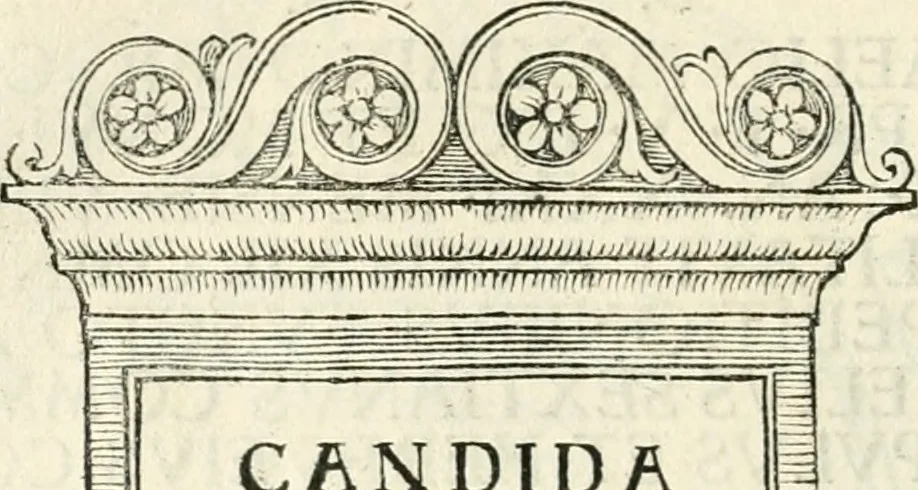 An illustration from Inscriptiones sacrosanctae vetvstatis : non illae qvidem romanae, sed totivs fere orbis svmmo stvdio ac maximis impensis Terra Mariqs conquisitæ feliciter incipiunt, 1534, leaf 265