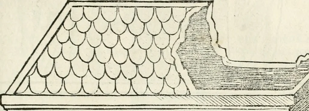 An illustration from Inscriptiones sacrosanctae vetvstatis : non illae qvidem romanae, sed totivs fere orbis svmmo stvdio ac maximis impensis Terra Mariqs conquisitæ feliciter incipiunt, 1534, leaf 308