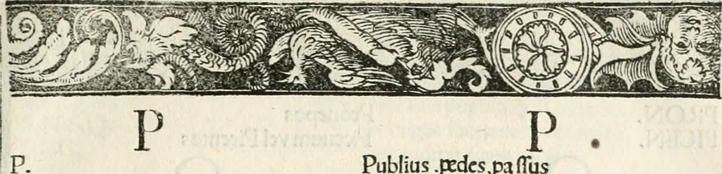 An illustration from Inscriptiones sacrosanctae vetvstatis : non illae qvidem romanae, sed totivs fere orbis svmmo stvdio ac maximis impensis Terra Mariqs conquisitæ feliciter incipiunt, 1534, leaf 32